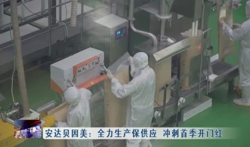 安達貝因美全力生產(chǎn)保供應 沖刺首季開門紅